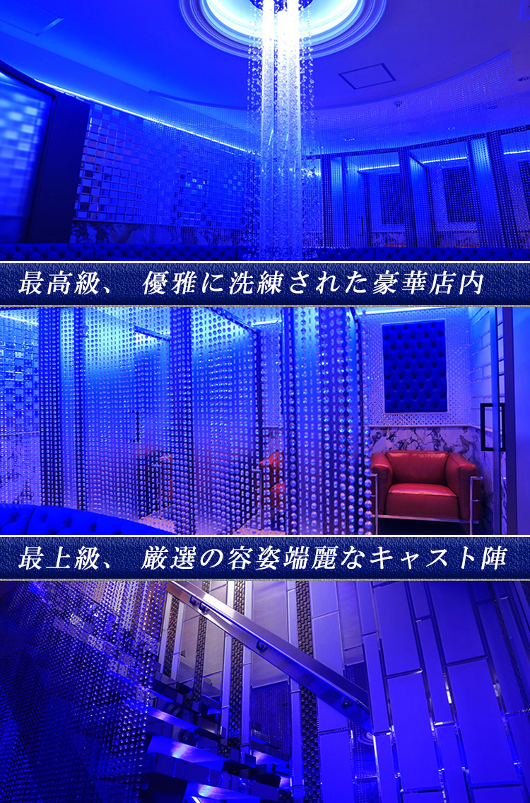 〇〇プロフィール